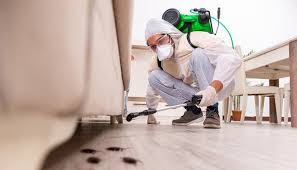 Best Termite Inspection and Treatment  in South Gull Lake, MI